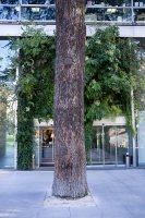 Entrée végétale de La Fondation